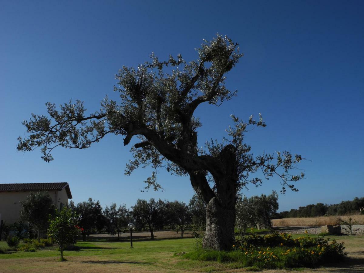 Agriturismo Is Solinas Masainas Exteriér fotografie